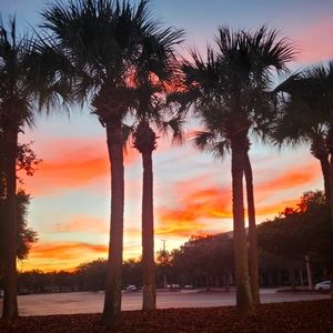 Meet your Posher, Hind